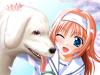 Animaux